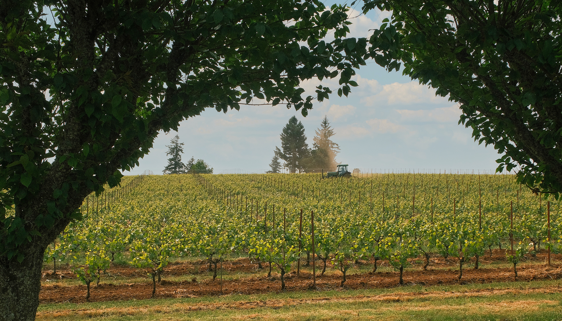 Visit Us – Evening Land Vineyards