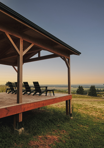 <p>Explore the new viewing platform perched in La Forêt.</p>